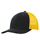 c1318_form_front_blackgold_032019