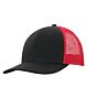 c1318_form_front_blackred_032019