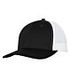 c1318_form_front_blackwhite_052018